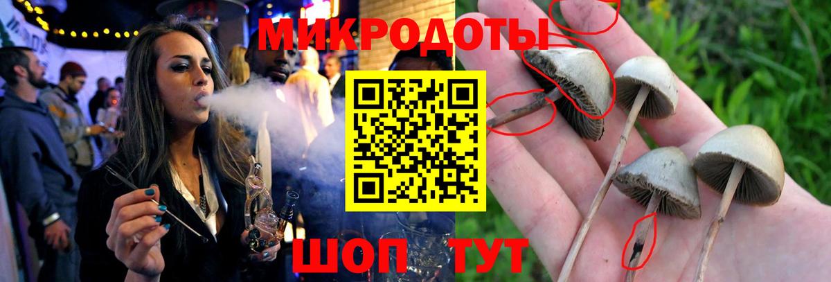 Галлюциногенные грибы мицелий Котлас
